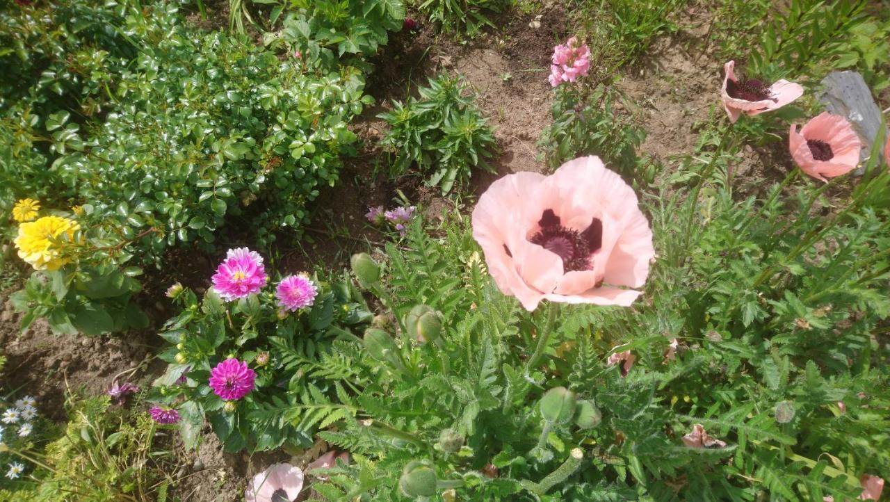 Le Bonheur A Portee De Mains ベルジュラック エクステリア 写真